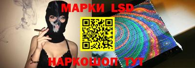амф Гусев