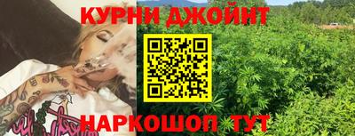 амф Гусев