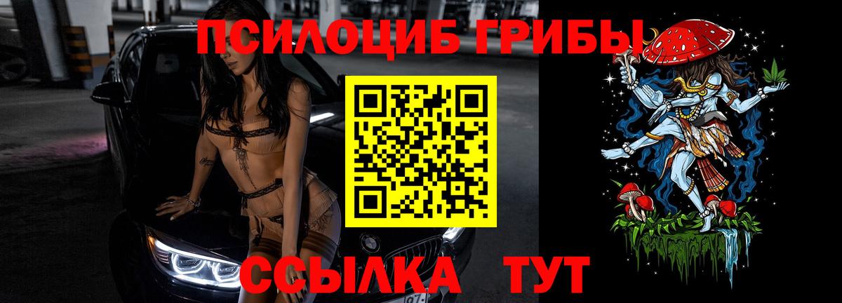 Галлюциногенные грибы прущие грибы Старая Русса