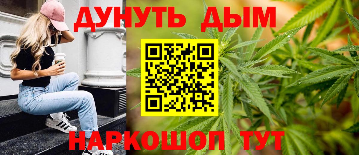 Каннабис сатива Старая Русса